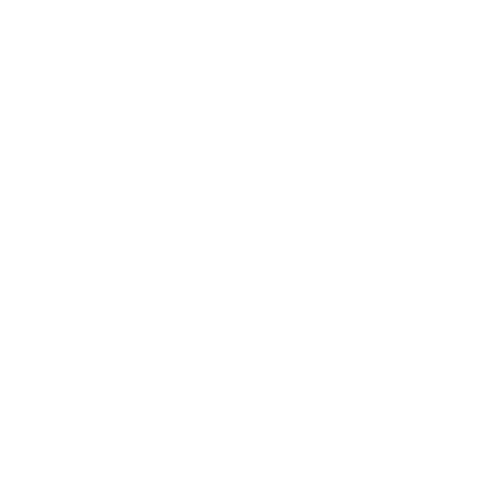 VISK Shop.